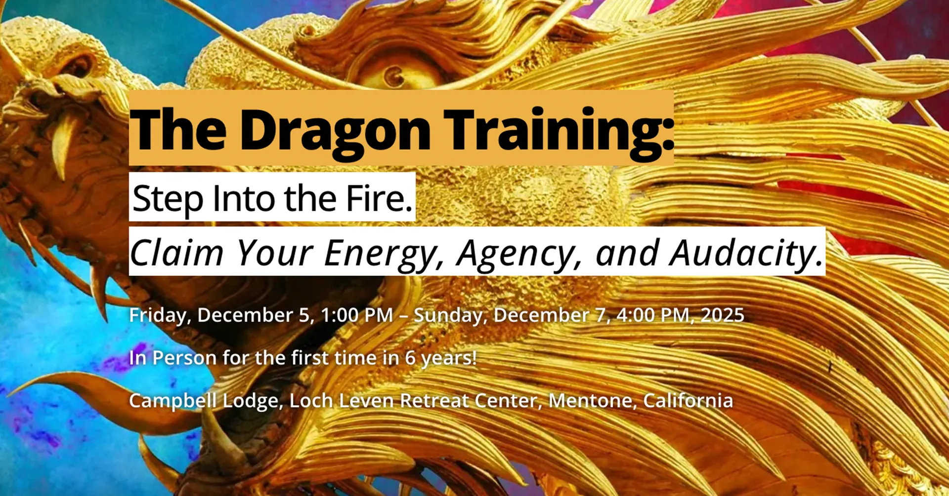 Picture of the dragon with a colorful background